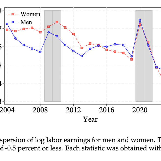Characterizing Income Risk in Chile and the Role of Labor Market Flows